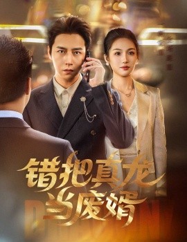 错把真龙当废婿封面图
