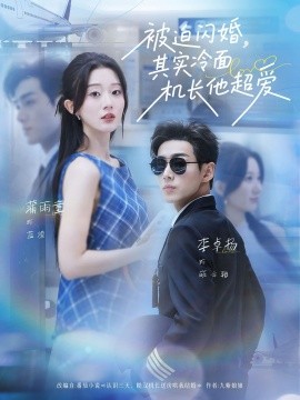 被迫閃婚其實冷面機(jī)長他超愛