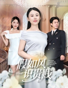 假如风识贵贱封面图