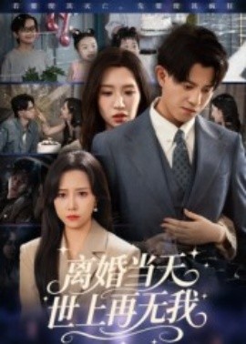 离婚当天，世上再无我封面图