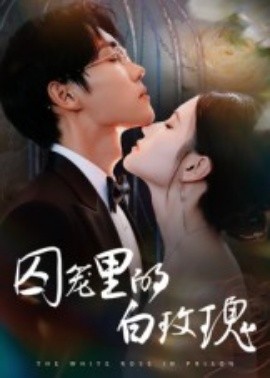 囚笼里的白玫瑰封面图