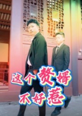 这个赘婿不好惹封面图