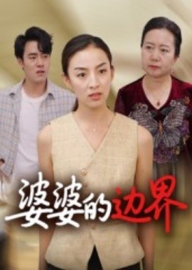 婆婆的边界封面图