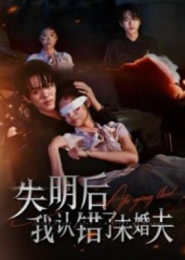 失明后我认错了未婚夫封面图