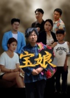 宝娘封面图