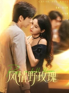 風(fēng)情野玫瑰 揉碎玫瑰