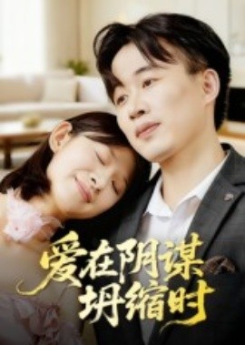 愛(ài)在陰謀坍縮時(shí)