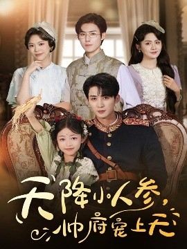 天降小人參帥府寵上天