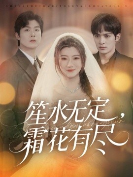 笙水无定，霜花有尽封面图