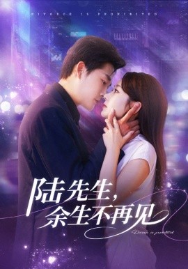 陸先生，余生不再見(jiàn)