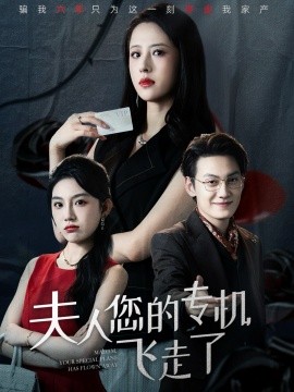 夫人您的專機飛走了