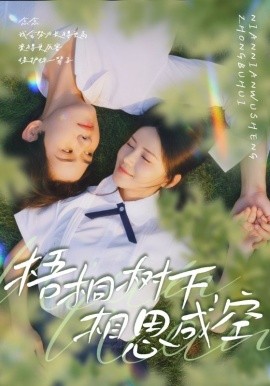 梧桐樹下，相思成空