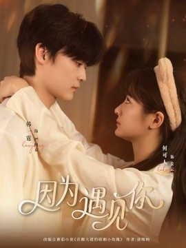 因为遇见你短剧封面图