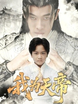 我为天帝封面图