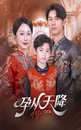 孕从天降封面图