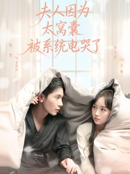 夫人因?yàn)樘C囊被系統(tǒng)電哭了