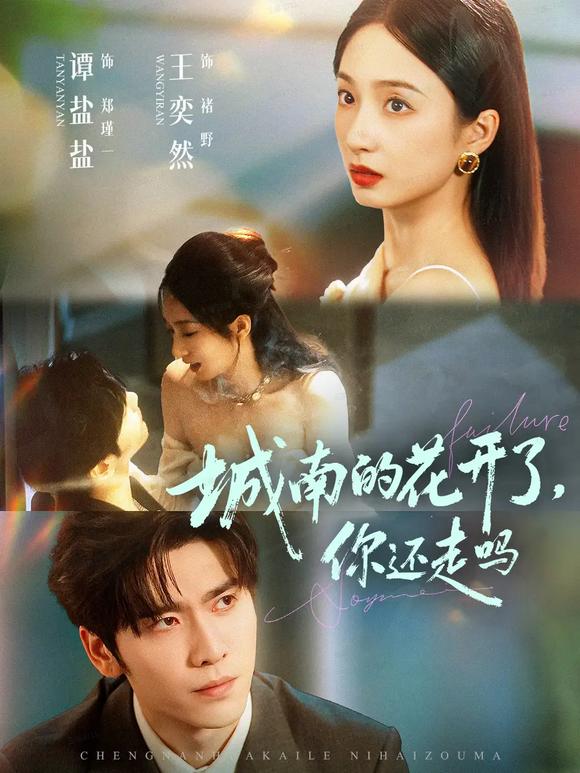 城南的花開了，你還走嗎