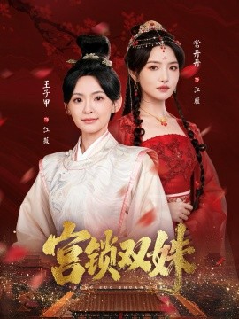 宫锁双姝封面图