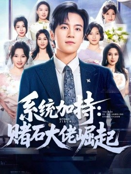 統(tǒng)加持：賭石大佬崛起 少年賭神：從原石到頂流