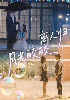 月光皎皎離人歸