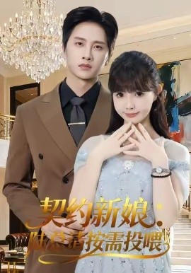 契約新娘：陸總請按需投喂