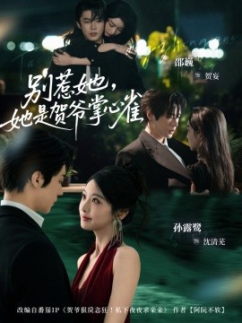 别惹她，她是贺爷掌心雀