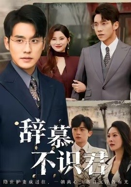 辞慕不识君 七年情深终成侮