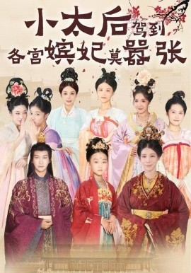 小太后駕到，各宮嬪妃莫囂張