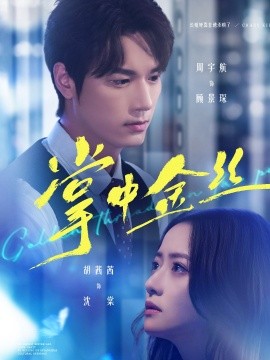 掌中金絲 長(zhǎng)姐她竟是隱藏大佬