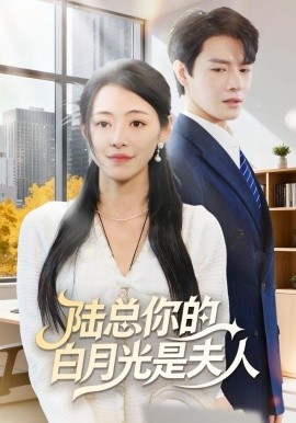 陸總你的白月光是夫人