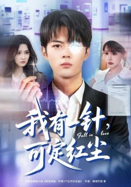 我有一针，可定红尘封面图