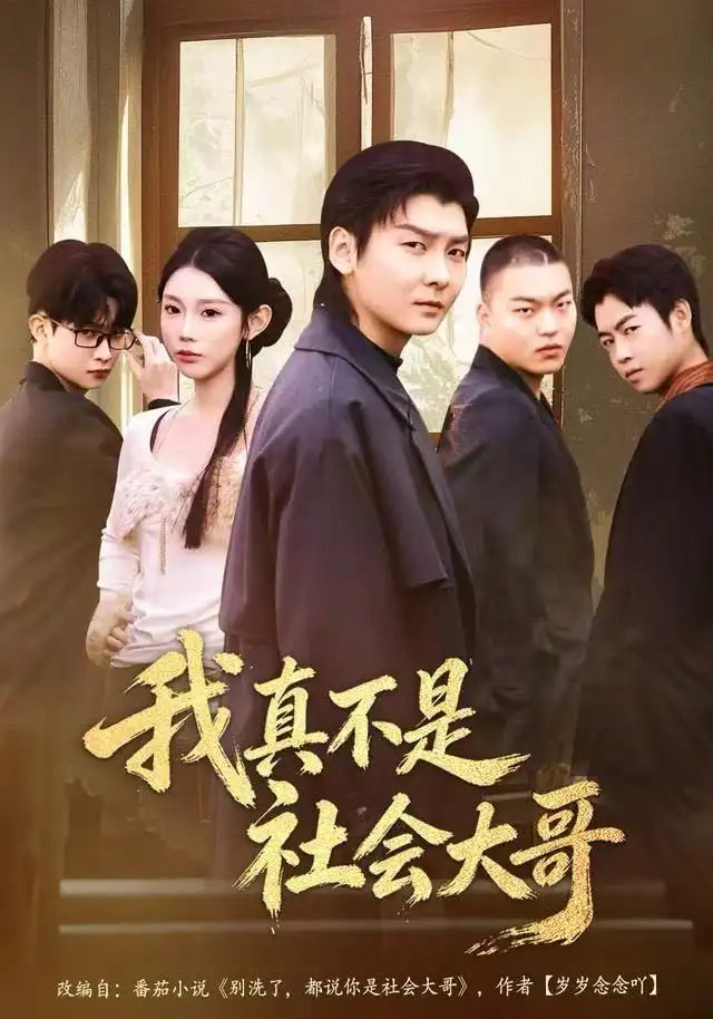我真不是社会大哥封面图
